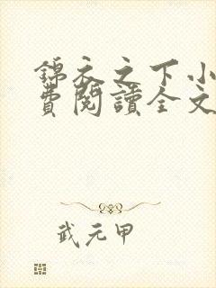 锦衣之下小说免费阅读全文无删减封面