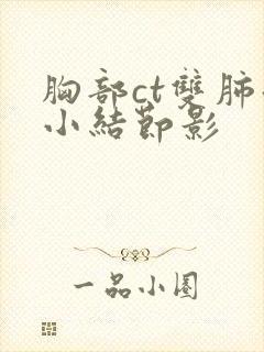 胸部ct双肺微小结节影