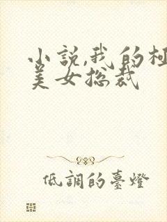 小说,我的极品美女总裁