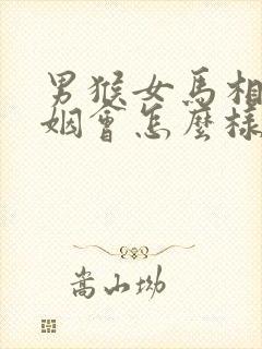 男猴女马相配婚姻会怎么样