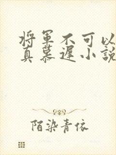 将军不可以魏云真慕迟小说笔趣阁