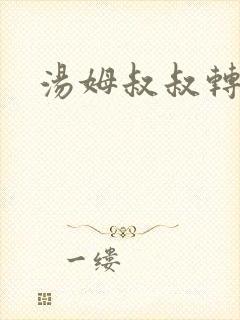 汤姆叔叔转接口