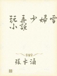 玩弄少妇雪白的小说