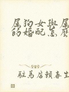 属狗女与属猴男的婚配怎么样啊