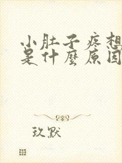 小肚子疼想拉尿是什么原因