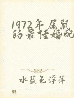 1972年属鼠的最佳婚配属相
