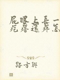 屁眼上长一个肉疙瘩还疼怎么回事