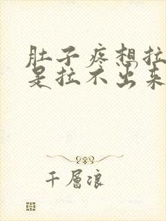 肚子疼想拉屎就是拉不出来怎么回事