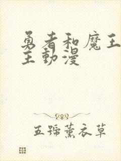 勇者和魔王双男主动漫