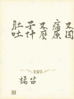 肚子又痛又拉又吐什么原因