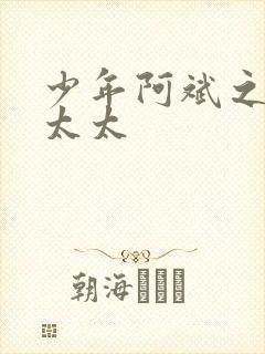 少年阿斌之房东太太