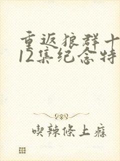 重返狼群十周年12集纪念特别版封面