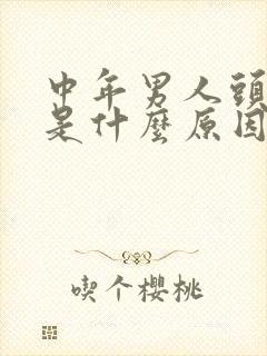 中年男人头发白是什么原因引起的封面