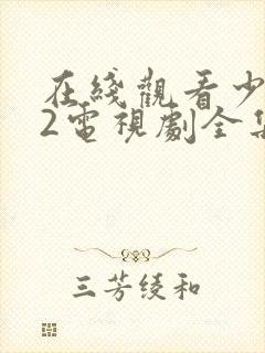 在线观看少年派2电视剧全集免费封面