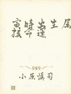 寅时出生属蛇男孩命运