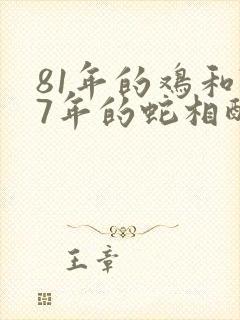 81年的鸡和77年的蛇相配吗