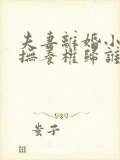 夫妻离婚小孩的抚养权归谁