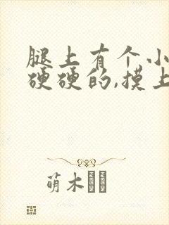 腿上有个小疙瘩硬硬的,摸上去就疼挂什么科