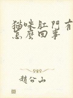 猫咪肛门有血是怎么回事