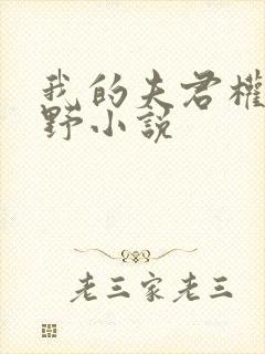 我的夫君权倾朝野小说