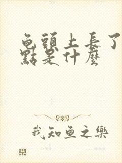 龟头上长了个红点是什么