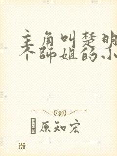 主角叫楚明有七个师姐的小说