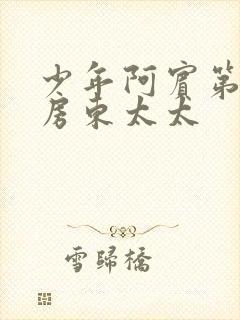 少年阿宾第一章房东太太