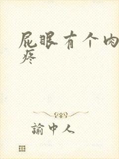 屁眼有个肉球不疼封面