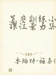 怎么训练小孩上课注意力集中