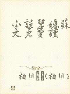 小说儿媳苏玥全文免费读