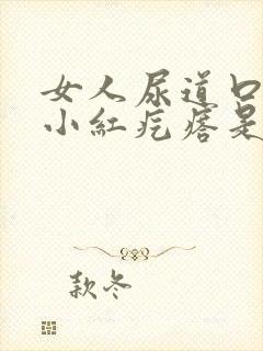 女人尿道口有个小红疙瘩是怎么回事封面