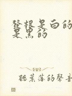 发根是白的发尾是黑的