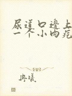 尿道口边上长了一个小肉疙瘩封面