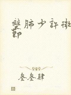 双肺少许微小结节