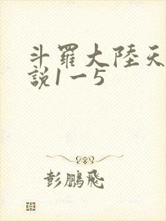 斗罗大陆天狂传说1一5