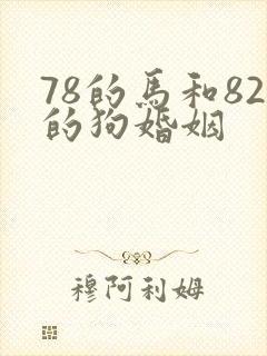 78的马和82的狗婚姻封面