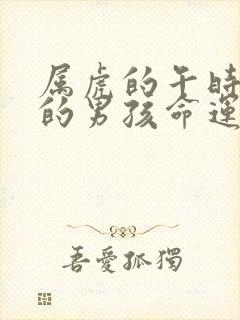 属虎的午时出生的男孩命运怎么样