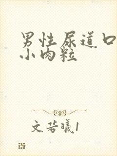 男性尿道口起了小肉粒封面