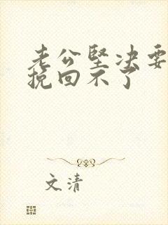 老公坚决要离婚挽回不了封面