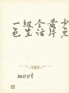 一级全黄少妇性色生活片免费