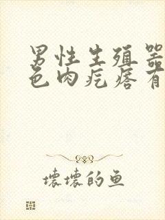 男性生殖器长红色肉疙瘩有时候痒