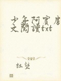 少年阿宾房东全文阅读txt封面