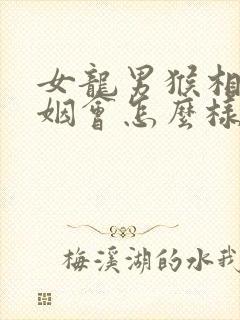 女龙男猴相配婚姻会怎么样