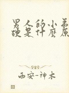 男人的小弟弟不硬是什么原因