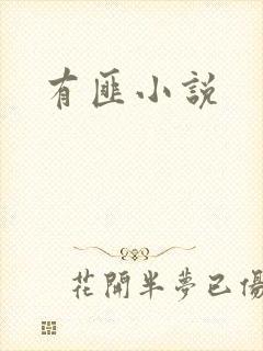 有匪小说