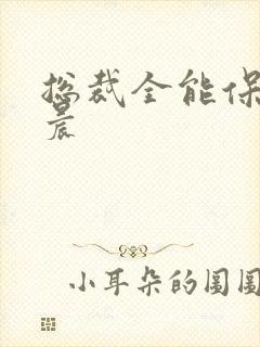 总裁全能保镖萧晨