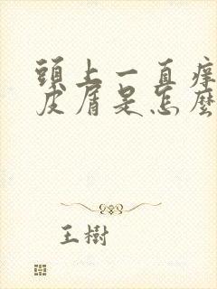 头上一直痒有头皮屑是怎么回事封面