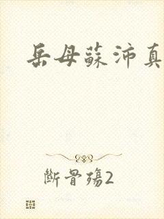 岳母苏沛真阅读封面