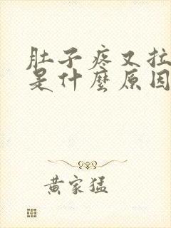 肚子疼又拉又吐是什么原因引起的病