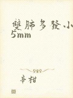 双肺多发小结节5mm